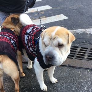 Meet your Posher, Heather